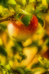 Similar image 5572782