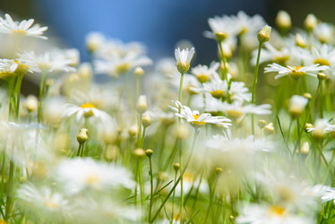 Similar image 5572784