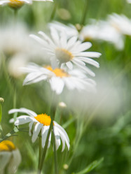 Similar image 5572787