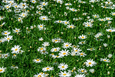 Similar image 5572790