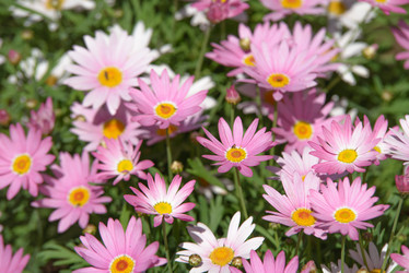 Similar image 5572791