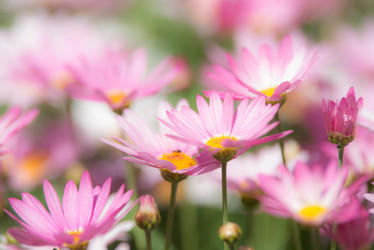 Similar image 5572792