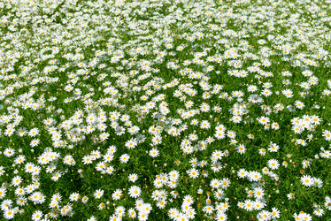 Similar image 5572835