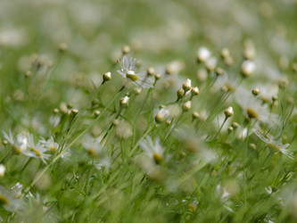 Similar image 5572836