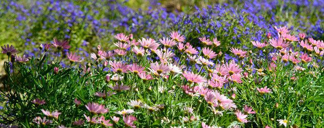 Similar image 5572837