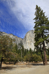 Similar image 5572846