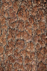 Similar image 5572848