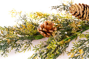 Similar image 5572867