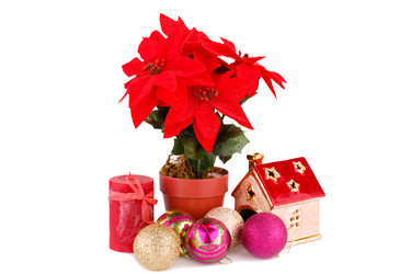 Similar image 5572871