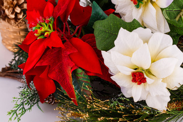 Similar image 5572880