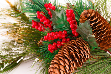 Similar image 5572893