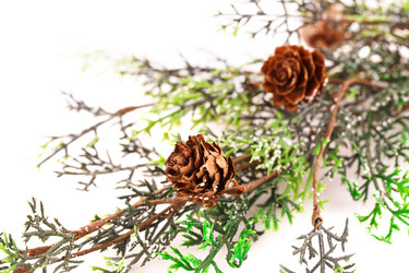 Similar image 5572895