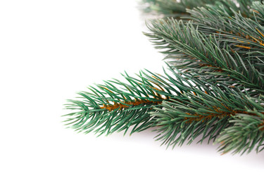 Similar image 5572897