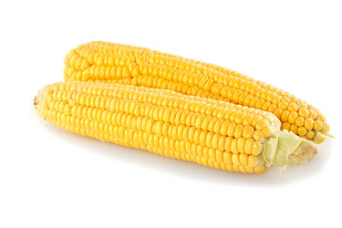 Similar image 5572899