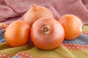 Similar image 5572913