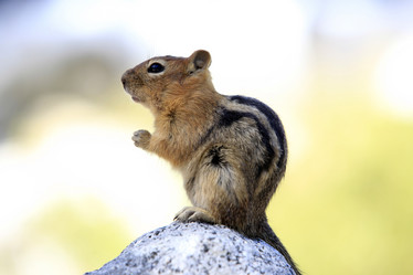 Similar image 5572942