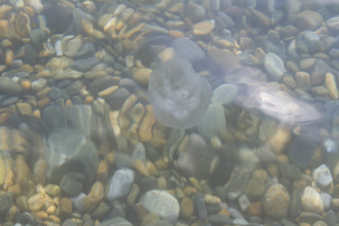 Similar image 5573058