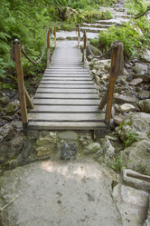 Similar image 5573077