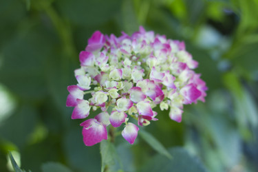 Similar image 5573078