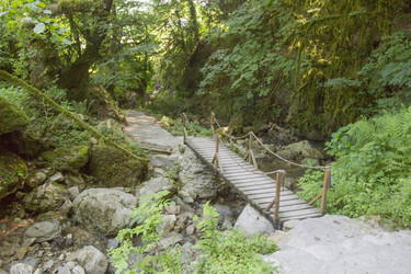 Similar image 5573080