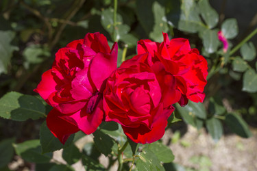 Similar image 5573091