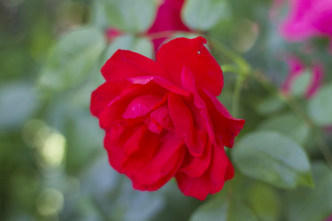 Similar image 5573092