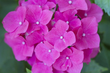 Similar image 5573093