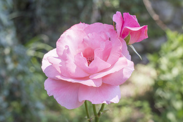 Similar image 5573094