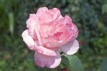 Similar image 5573096