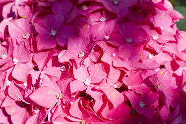 Similar image 5573099