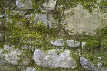 Similar image 5573118