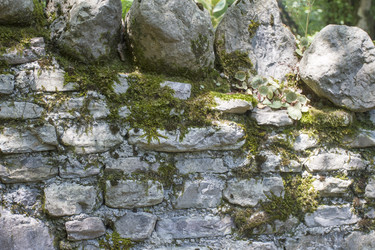 Similar image 5573124