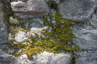 Similar image 5573126