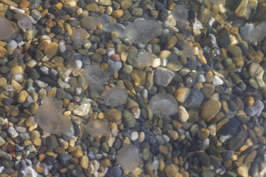 Similar image 5573145