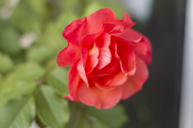 Similar image 5573155