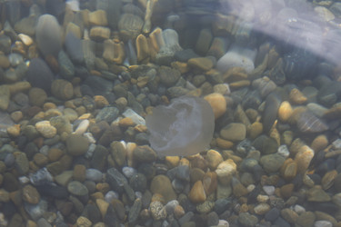 Similar image 5573181