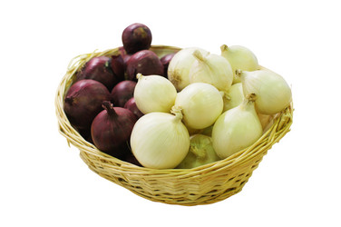 Similar image 5573204