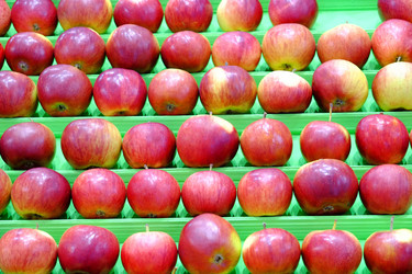 Similar image 5573274