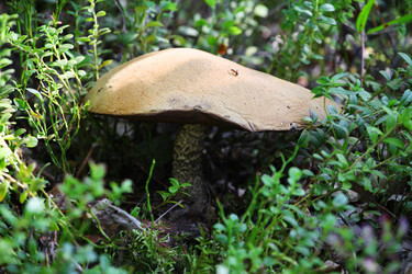 Similar image 5573281