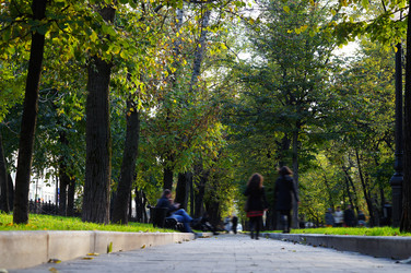 Similar image 5573305