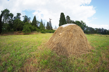 Similar image 5573311