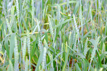 Similar image 5573321