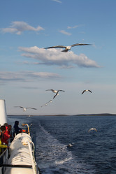 Similar image 5573325