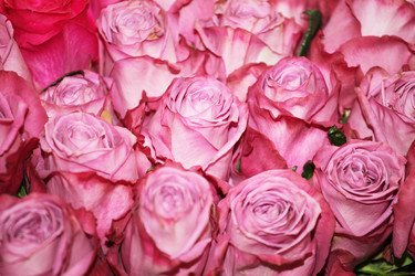 Similar image 5573375