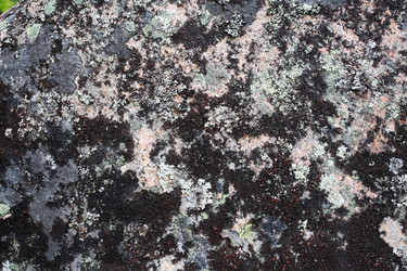 Similar image 5573381