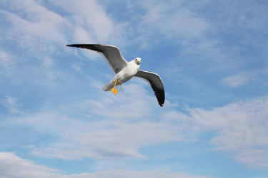 Similar image 5573400