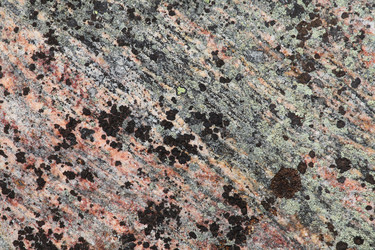 Similar image 5573403