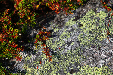 Similar image 5573415