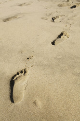 Similar image 5573421