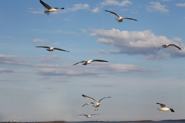 Similar image 5573431